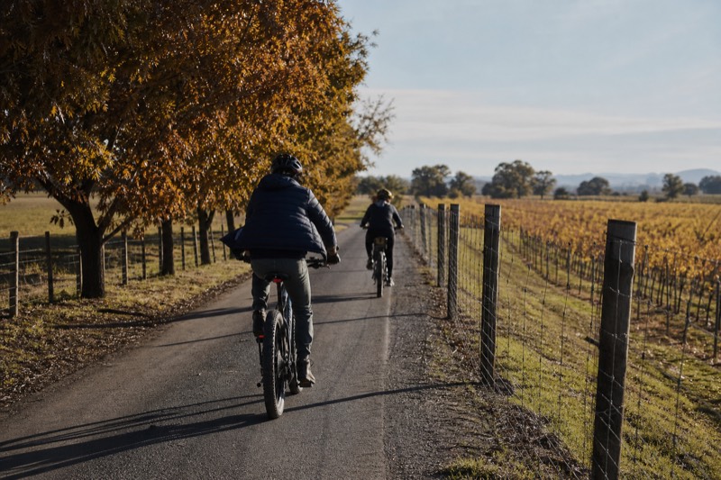 Healdsburg Guided E-Bike Wine Tour, 3 Winery Stops