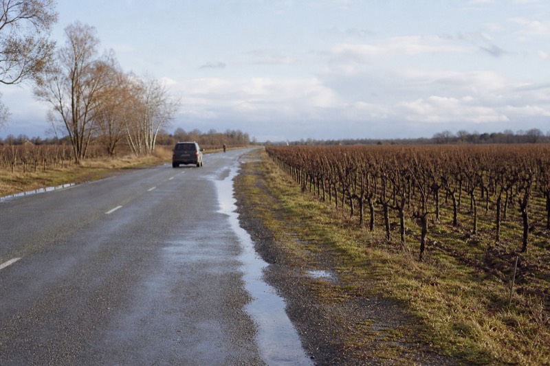Napa and Sonoma Private Wine Tour, Custom Itineraries