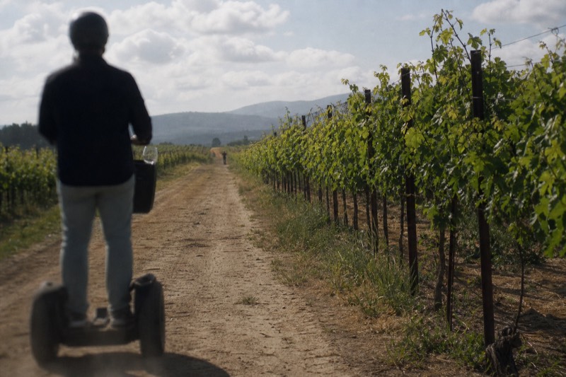 Sonoma County Wine Segway Tour