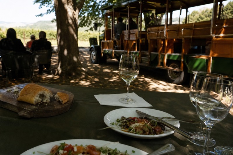 Sonoma Valley Wine Trolley Tasting Tour with Lunch