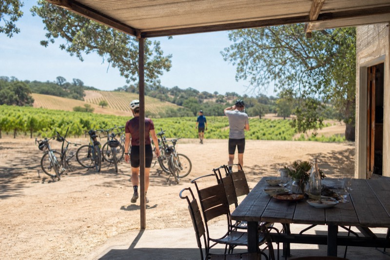 Velo 'n Vino E-Bike and Wine Tour from Healdsburg