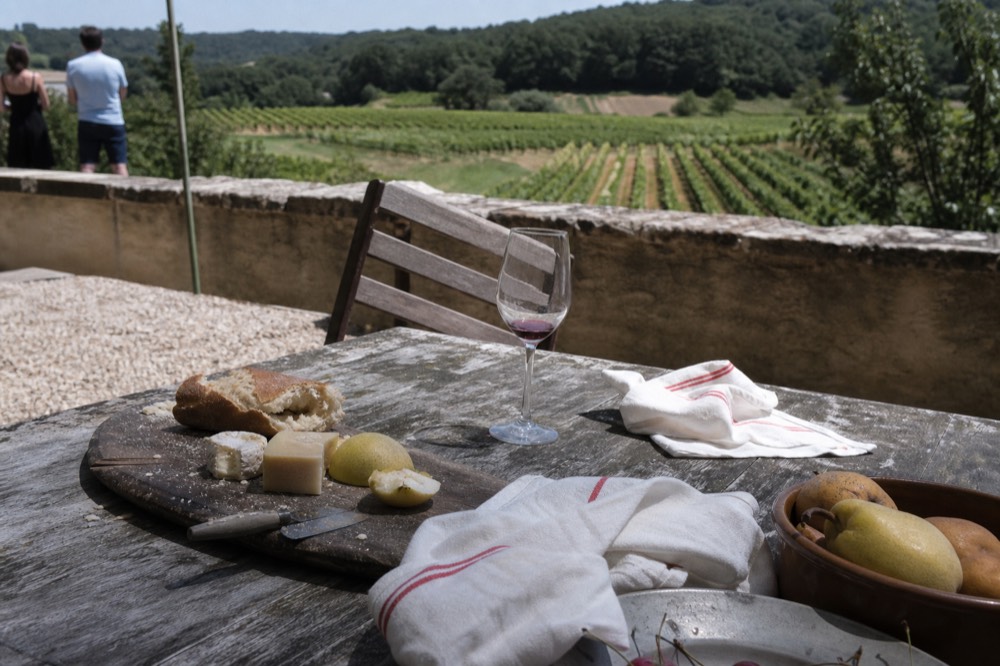 A picnic lunch spread on a winery terrace overlooking Sonoma vineyards, no text, no logos, no people