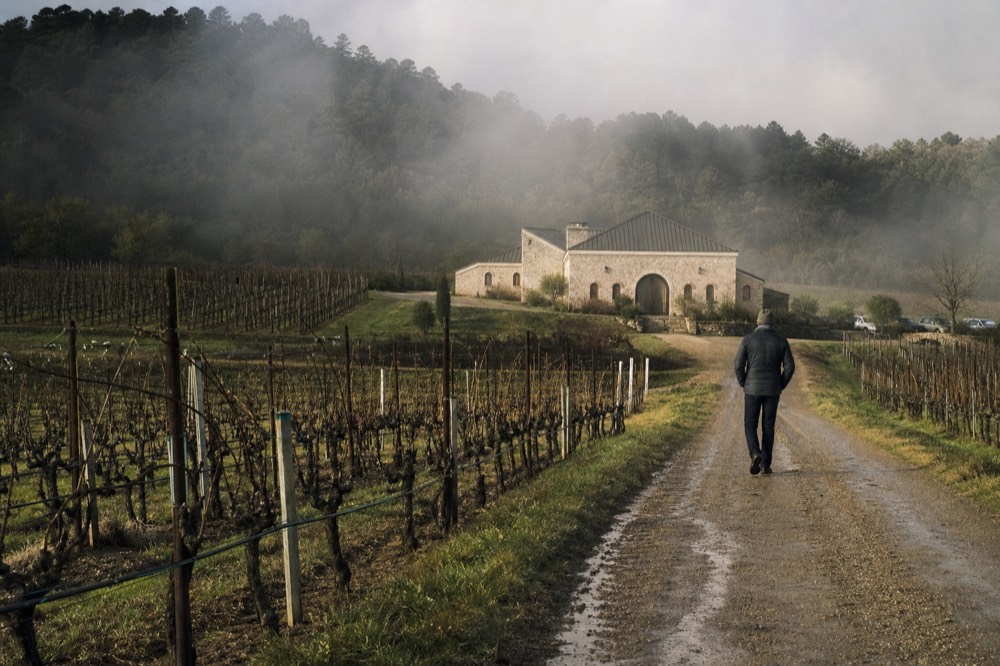 Vineyard view with tasting room in the distance, no text, no logos, no people
