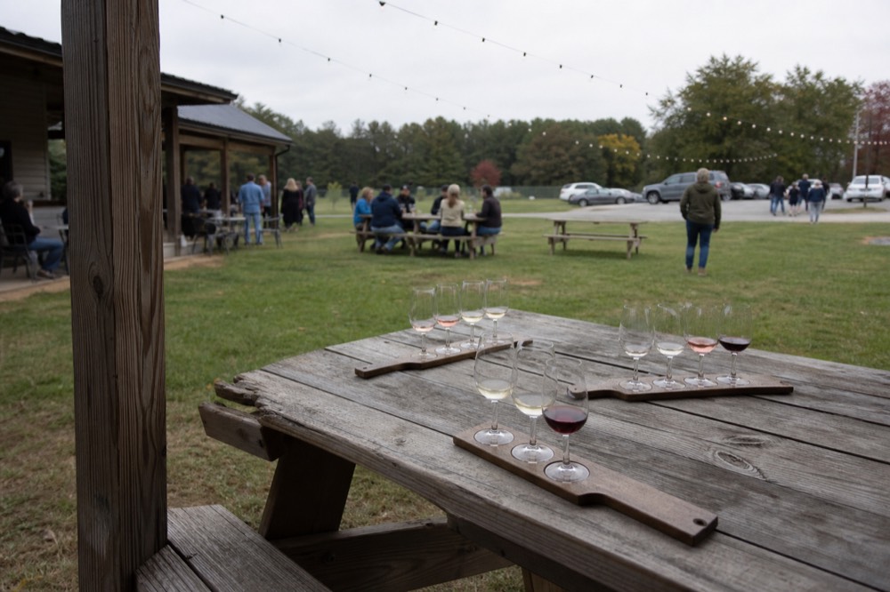Flights of wine and picnic tables at a Dry Creek Valley winery, no text, no logos, no people
