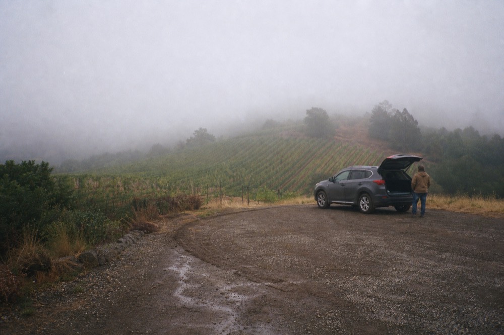 Fog rolling over coastal hills near a tiny vineyard block in far west Sonoma County, no text, no logos, no people