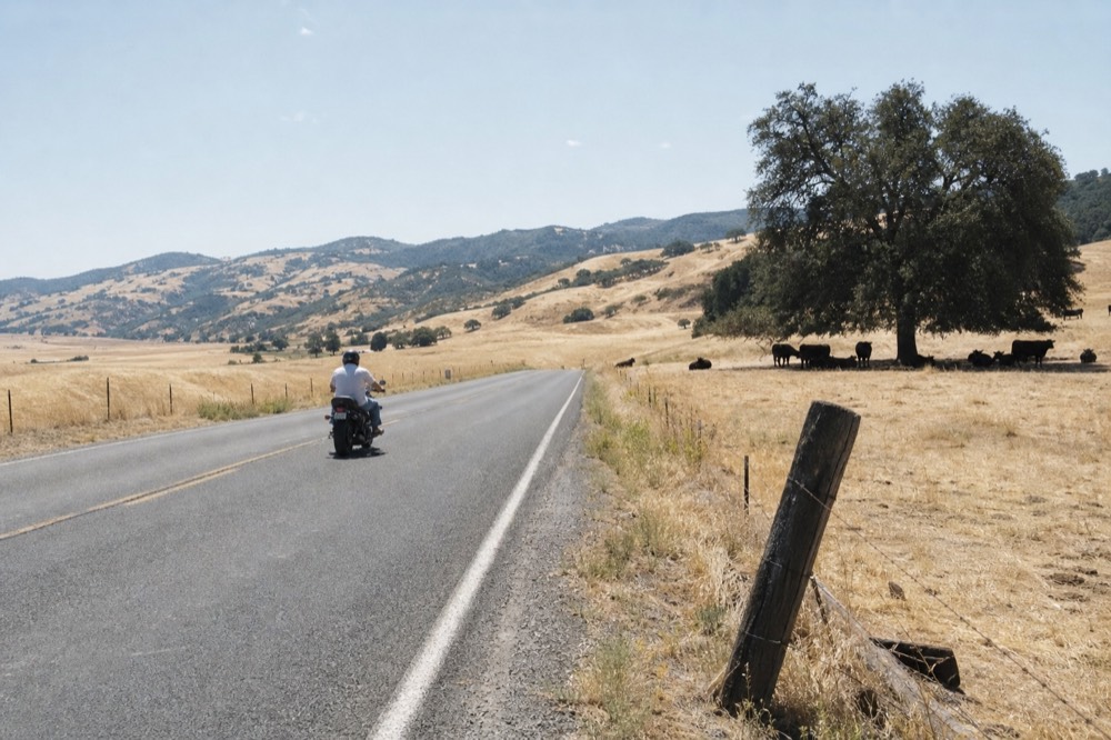 Open farmland and rolling golden hills along a quiet two-lane wine country road, no text, no logos, no people