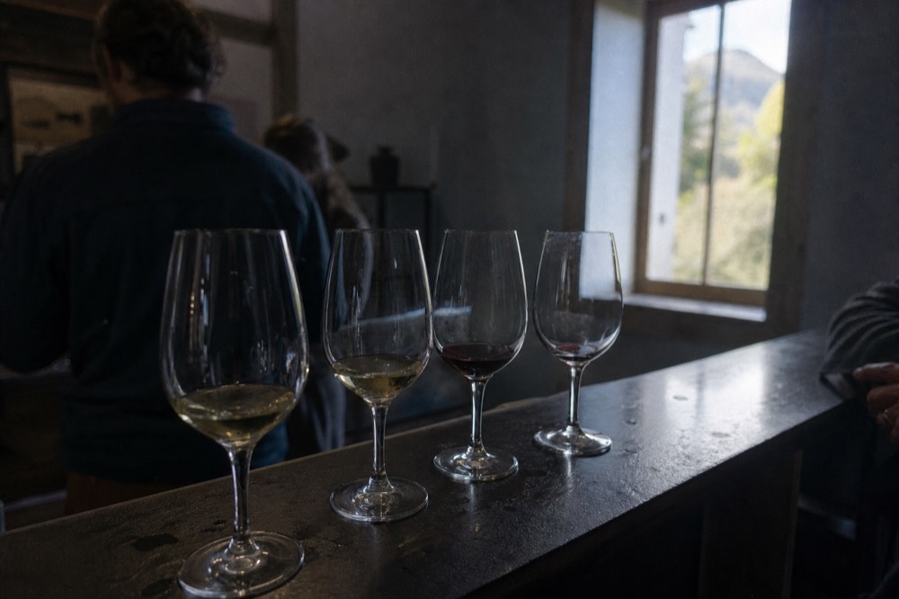 A line of four wine glasses on a tasting room bar, no text, no logos, no people