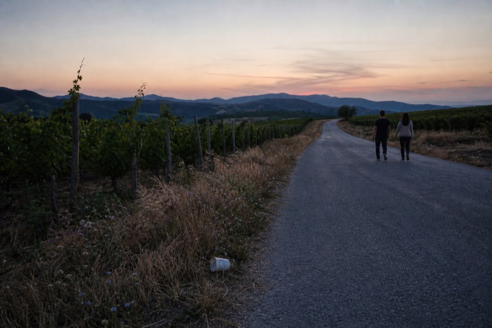 A country road winding between vineyards toward distant hills, no text, no logos, no people.