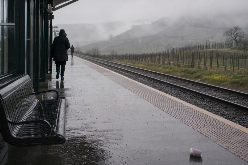 Commuter rail platform beside vineyard hills in Sonoma County, no text, no logos, no people