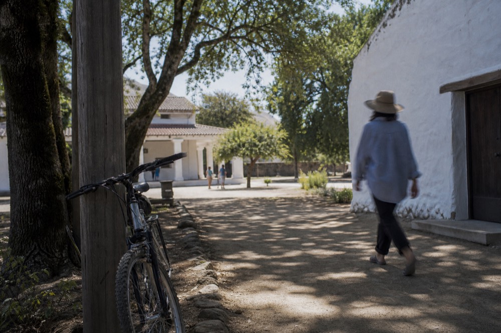 Sunlit historic adobe buildings and shade trees around Sonoma Plaza, no text, no logos, no people