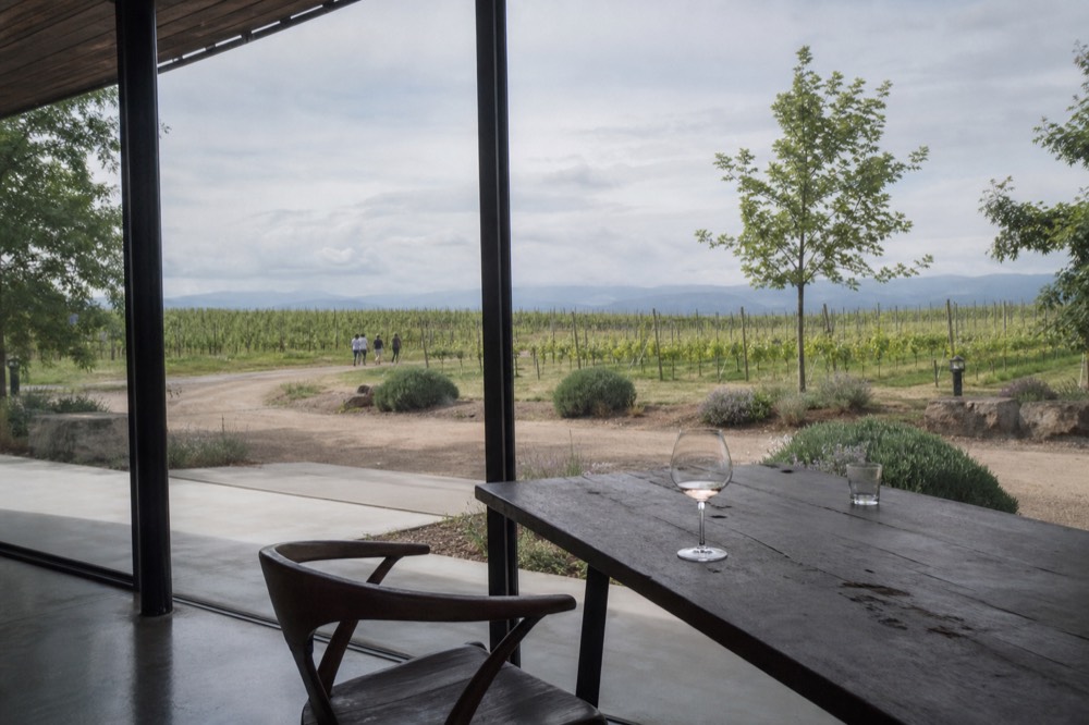 Modern winery tasting room with floor-to-ceiling glass overlooking vineyards, no text, no logos, no people