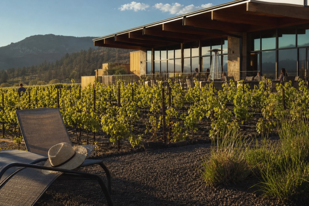 Montage Healdsburg resort with vineyard views and modern architecture, no text, no logos, no people