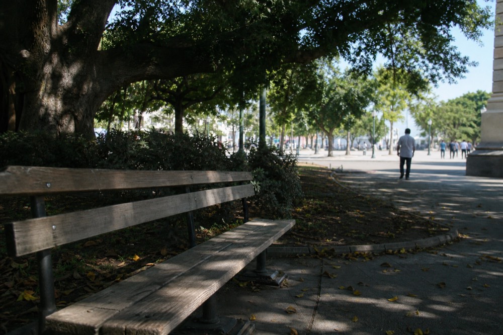 Shaded walkway along Sonoma Plaza with benches and trees, no text, no logos, no people