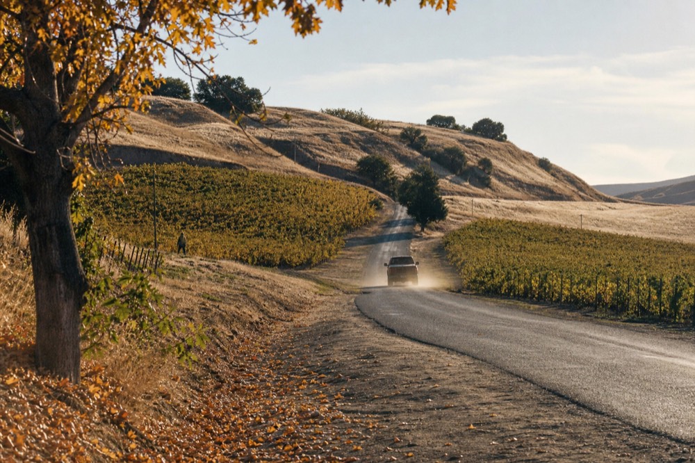 Country road winding between wineries and rolling hills near Healdsburg, no text, no logos, no people