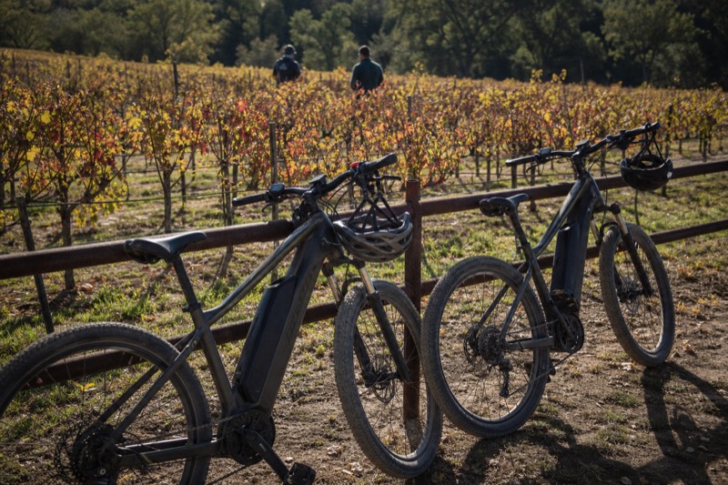 E-bikes leaned against a rail fence among Dry Creek Valley vineyard rows