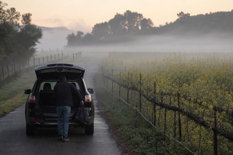 Private SUV on a quiet vineyard lane between Napa and Sonoma at first light