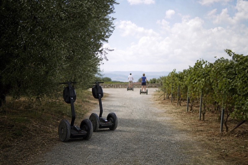 Segways parked on a gravel path between Sonoma vineyard rows near an olive tree line