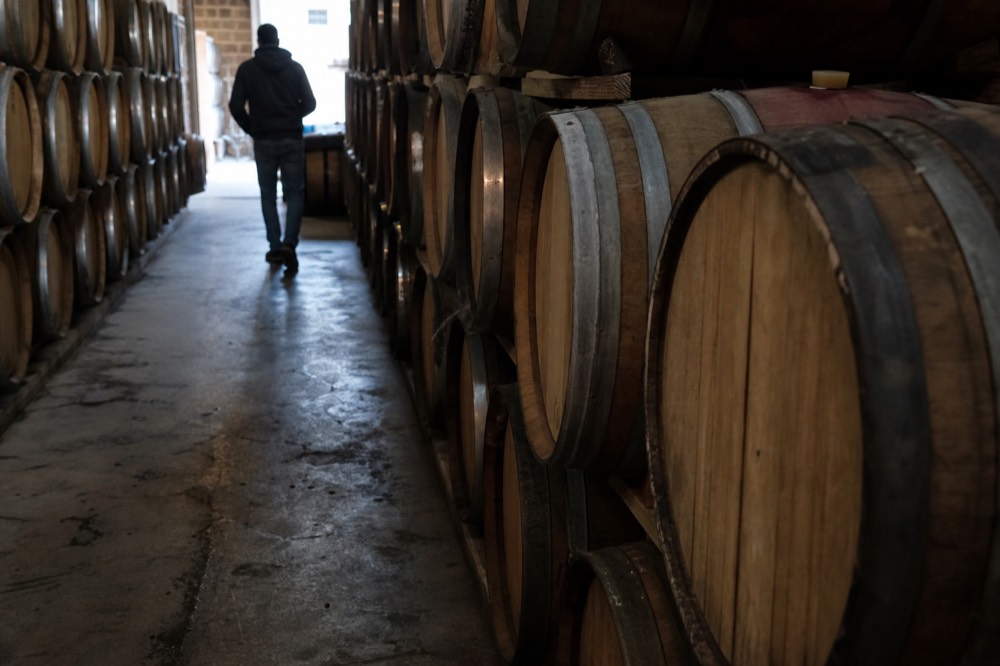 Barrel room with oak wine barrels in a Sonoma winery, no text, no logos, no people