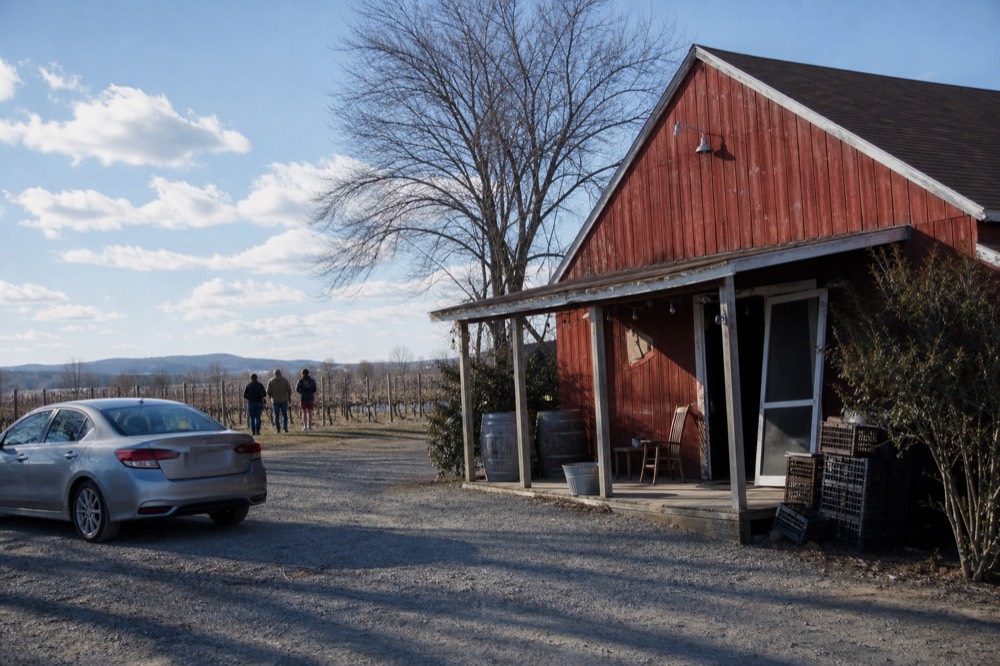 A rustic barn tasting room set among Dry Creek Valley vineyards, no text, no logos, no people