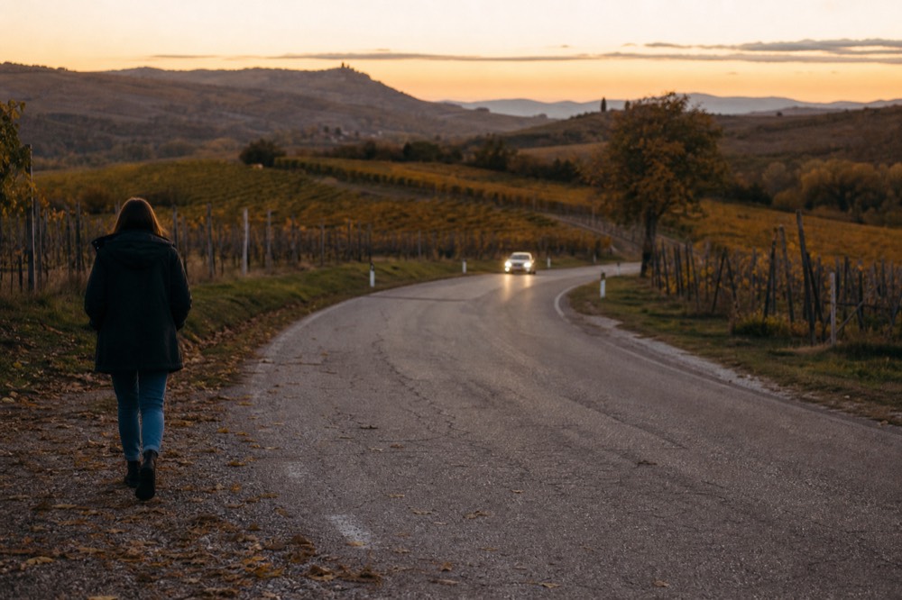 A country road winding through vineyards toward distant hills, no text, no logos, no people