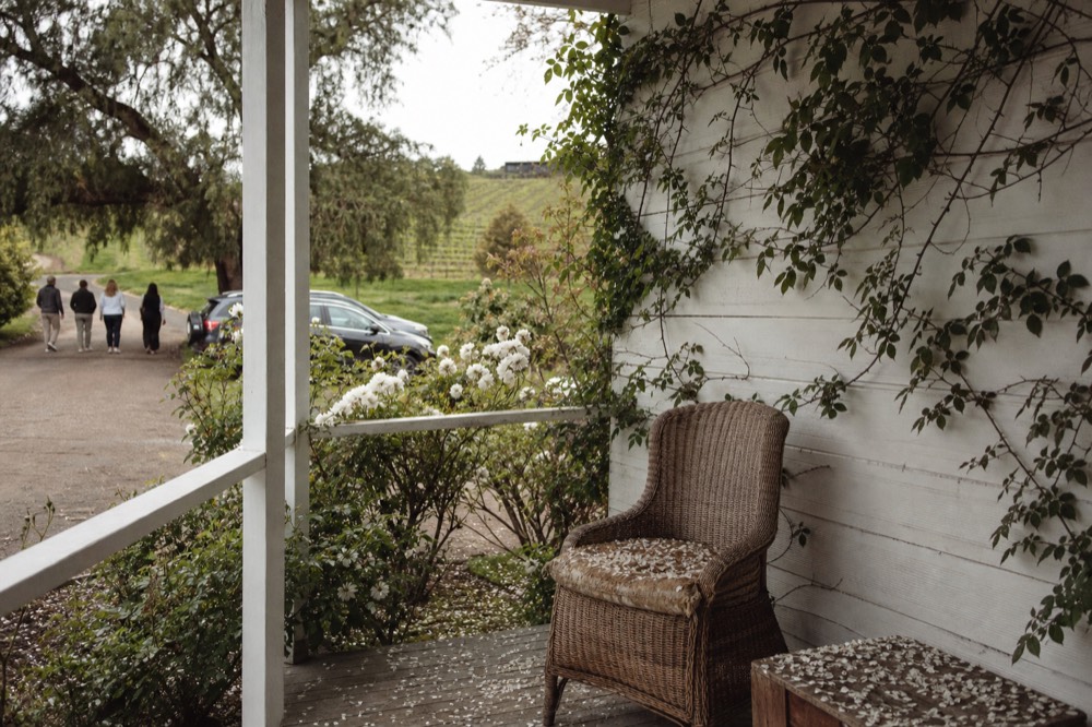 Cottage-style tasting room porch near Sonoma Plaza with vines, no text, no logos, no people