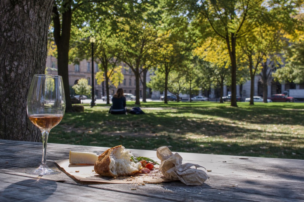 Picnic table on the Sonoma Plaza green with a wine glass and lunch spread, no text, no logos, no people