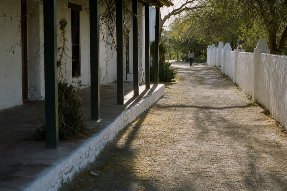 Sunlit walkway beside historic adobe buildings near Sonoma Plaza, no text, no logos, no people