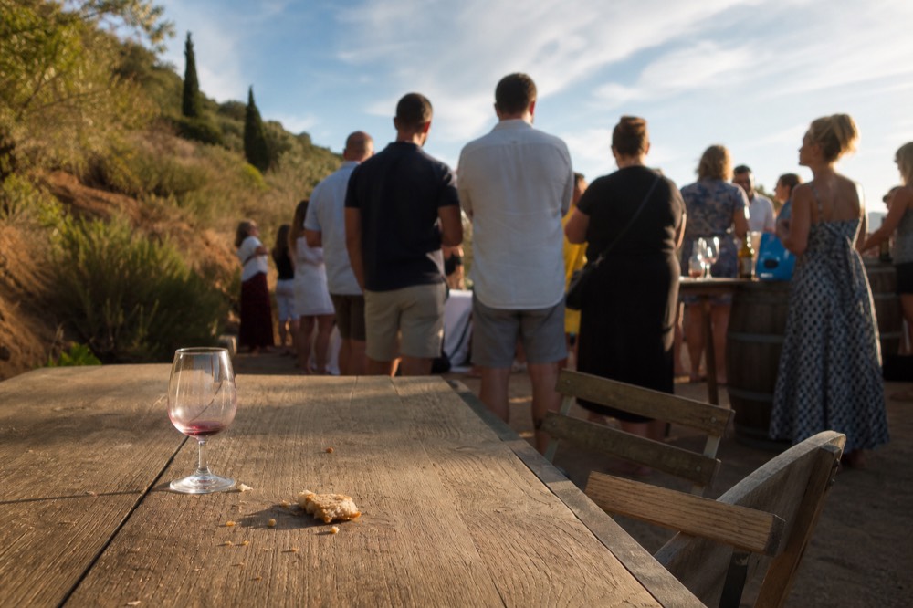 Trolley passengers enjoying wine tasting at a vineyard, no text, no logos, no people