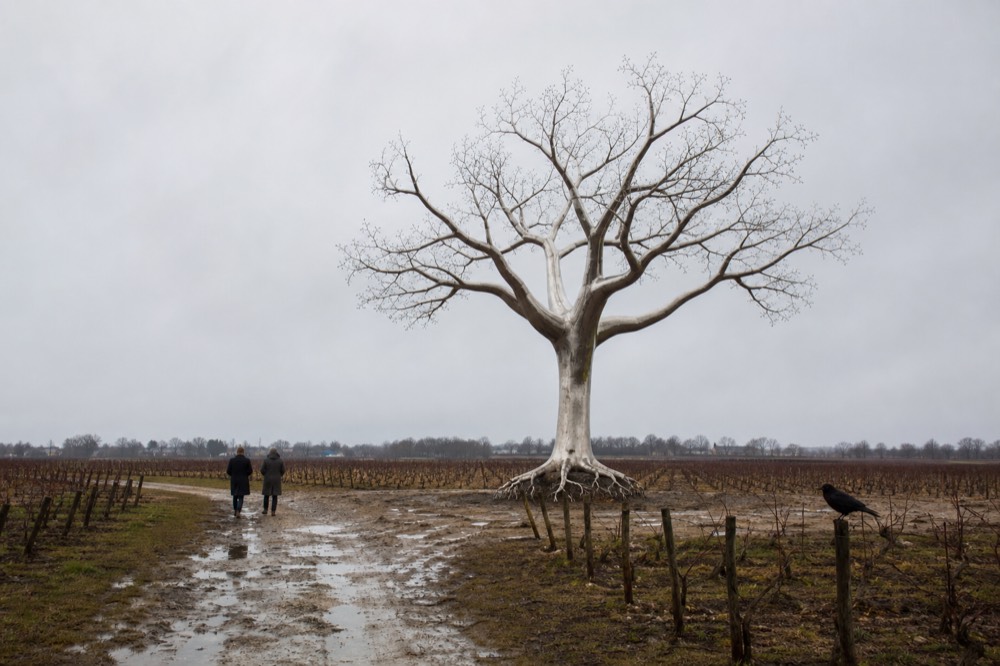 A large outdoor sculpture by Ai Weiwei at The Donum Estate, with vineyards in the background, no text, no logos, no people