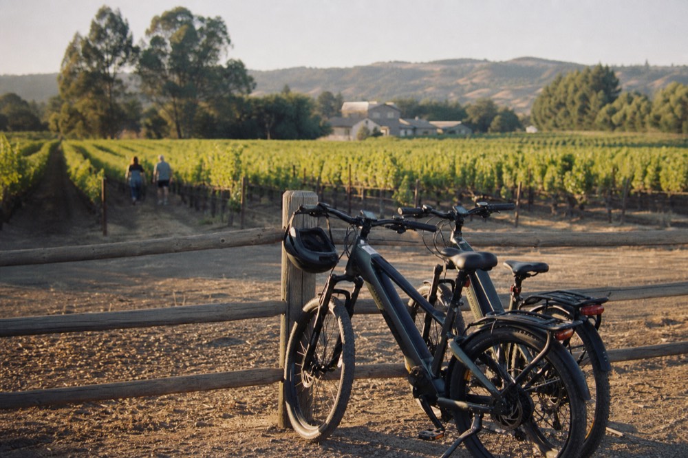 E-bikes parked near a vineyard, with a winery in the distance, no text, no logos, no people