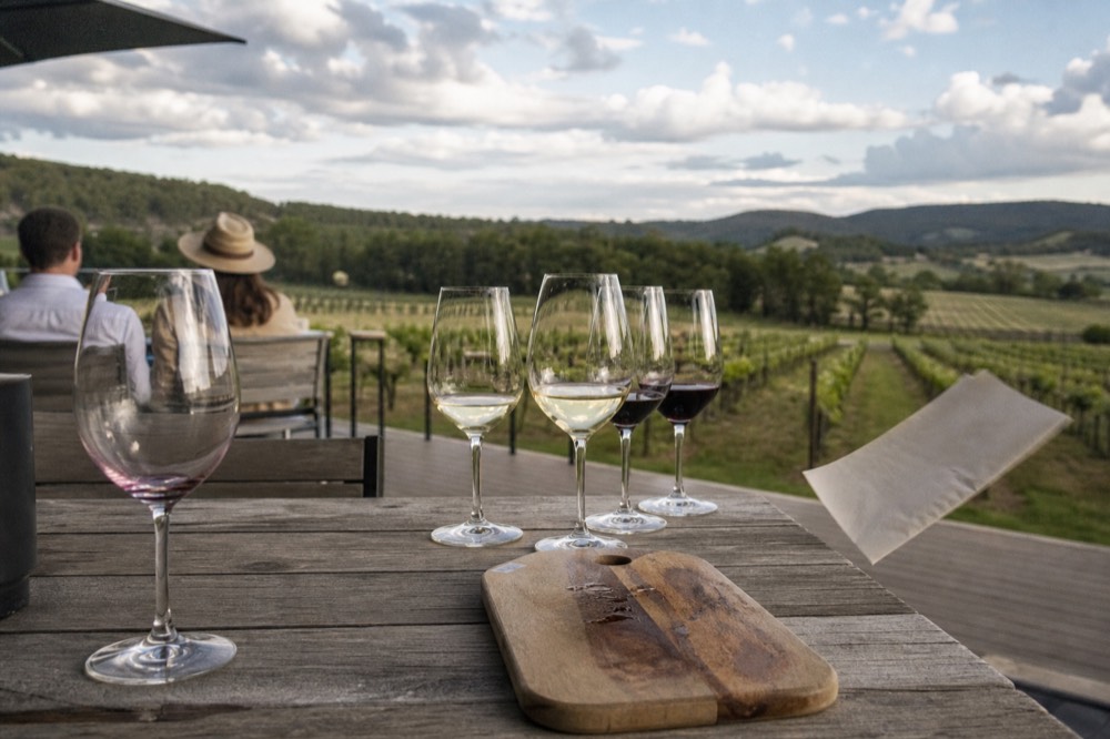 Outdoor tasting table with glasses of red and white wine overlooking vines, no text, no logos, no people