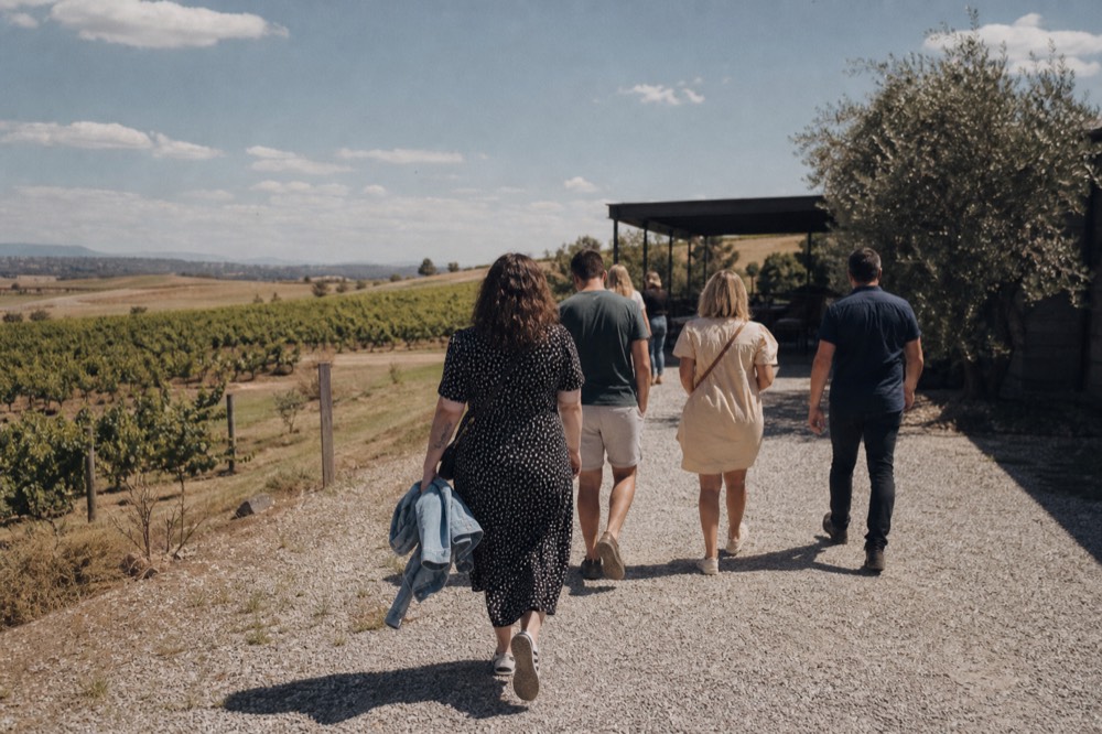 Sonoma vineyard with a small group of guests walking toward a tasting room, no text, no logos, no people