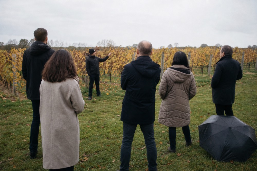 A wine tour guide talking to a small group near a vineyard, no text, no logos, no people