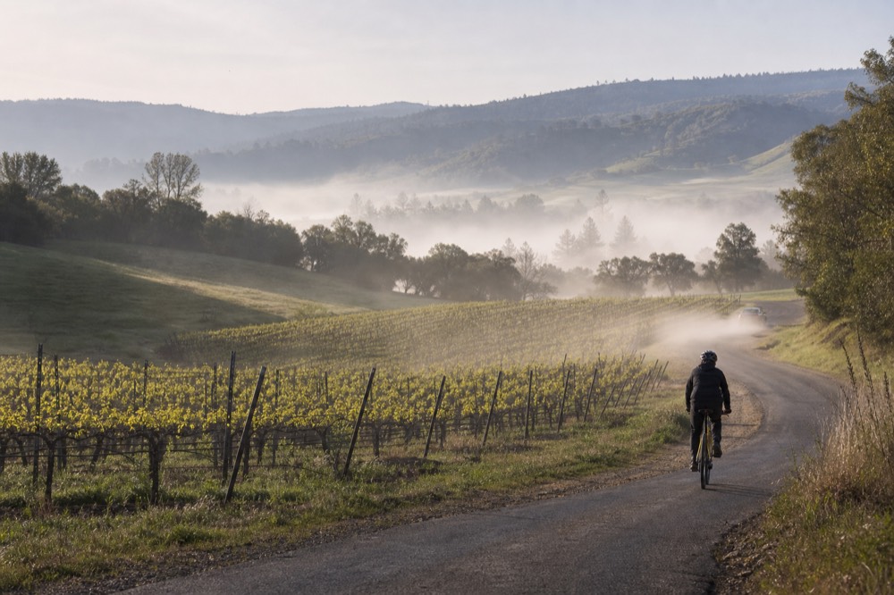 A winding country road through Alexander Valley vineyards toward distant hills, no text, no logos, no people.