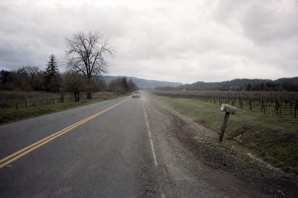 Open country road through northern Sonoma County vineyards, no text, no logos, no people