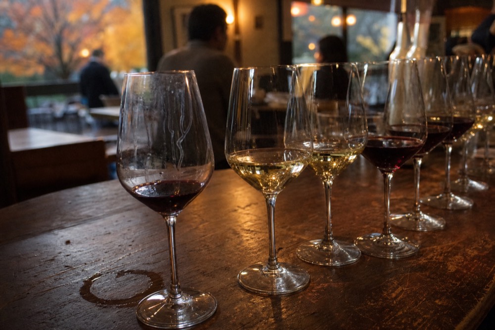 A row of tasting glasses filled with red and white wine on a wooden bar, no text, no logos, no people.
