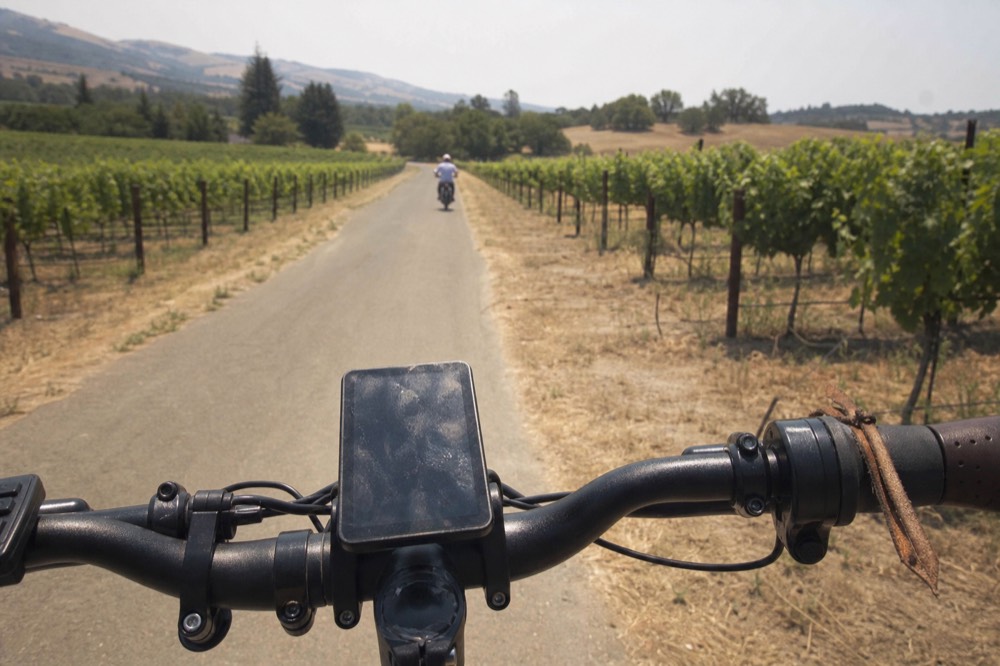 E-bike handlebar view of a vineyard lane in Sonoma County, no text, no logos, no people