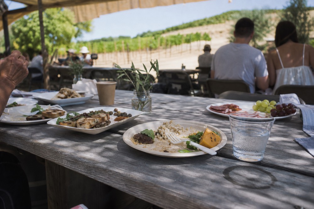 Plates of catered lunch served on a wooden table outdoors near vineyards, no text, no logos, no people