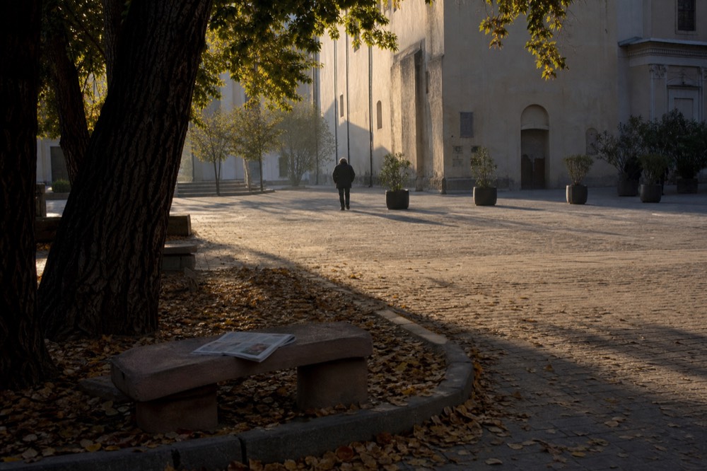 Morning light on Sonoma Plaza's historic square with trees and adobe buildings, no text, no logos, no people
