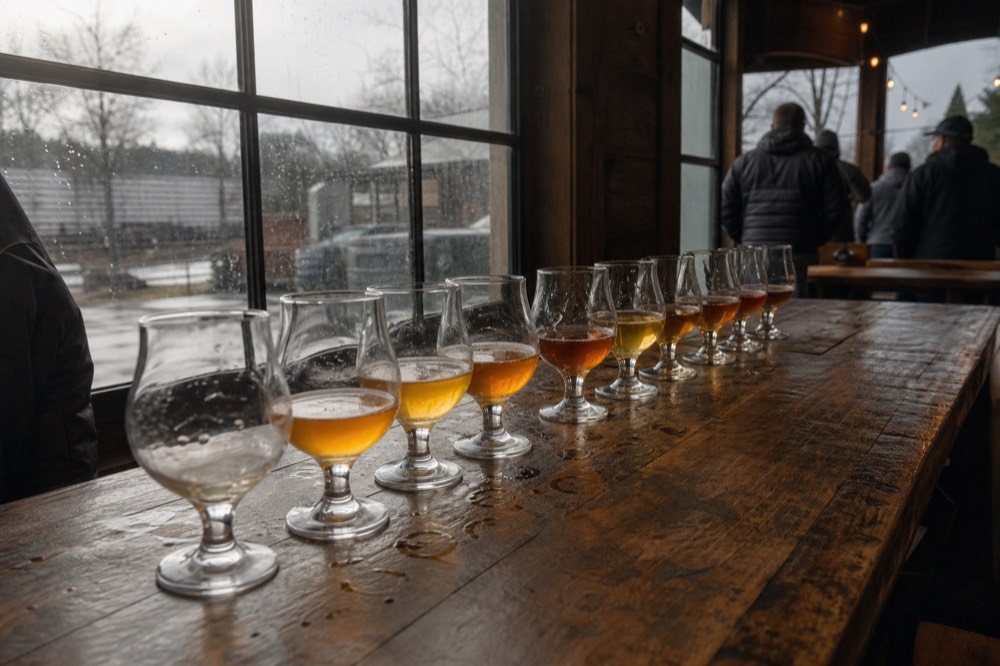 A row of glasses lined up on a wooden tasting room bar, no text, no logos, no people