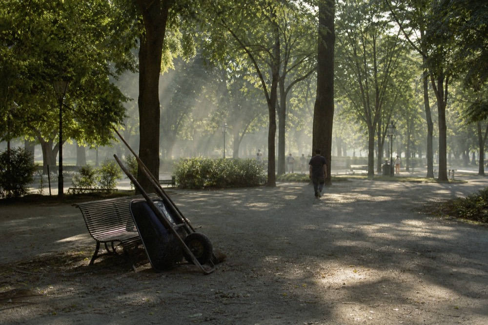 Sonoma Plaza park with trees and walkways, no text, no logos, no people