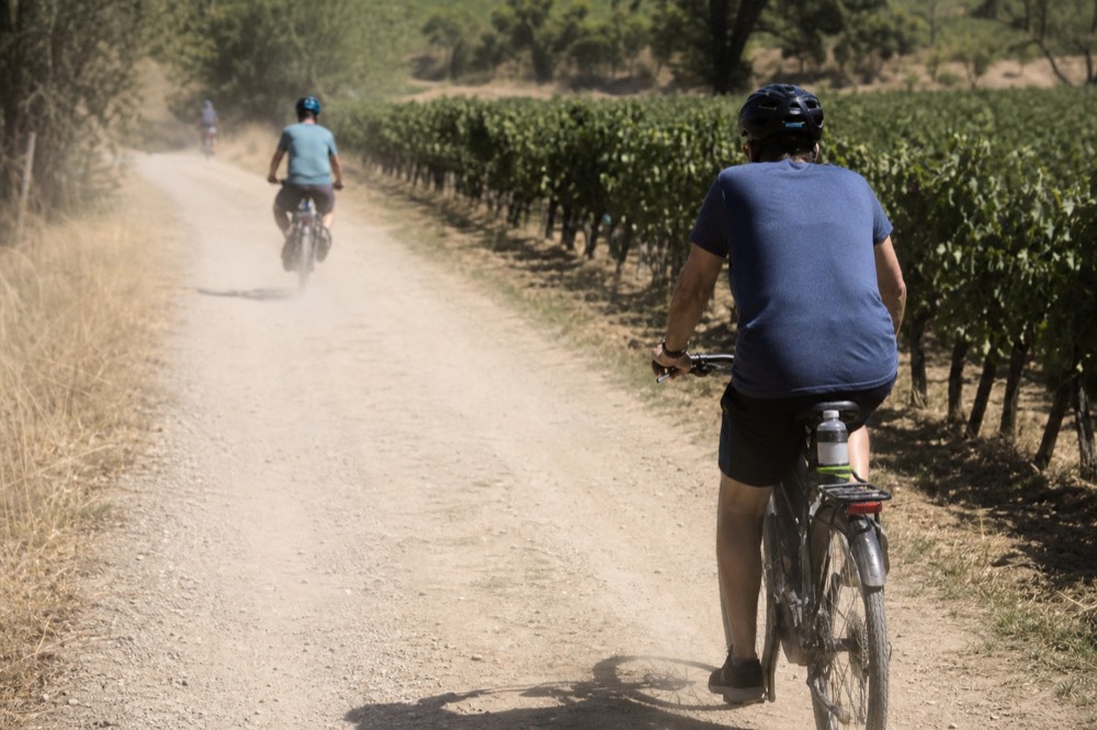 E-bike tour riders on a vineyard road, no text, no logos, no people
