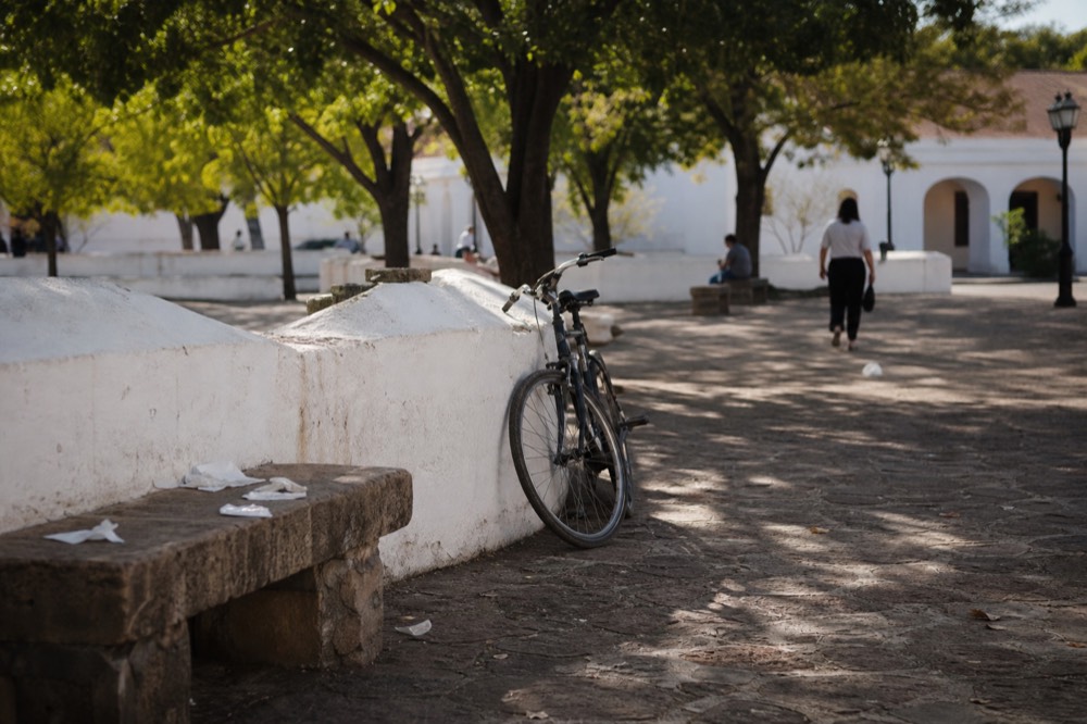 Historic Sonoma Plaza adobe buildings under trees at midday, no text, no logos, no people